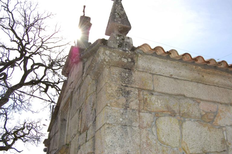 DSC 0443 11zon 768x511