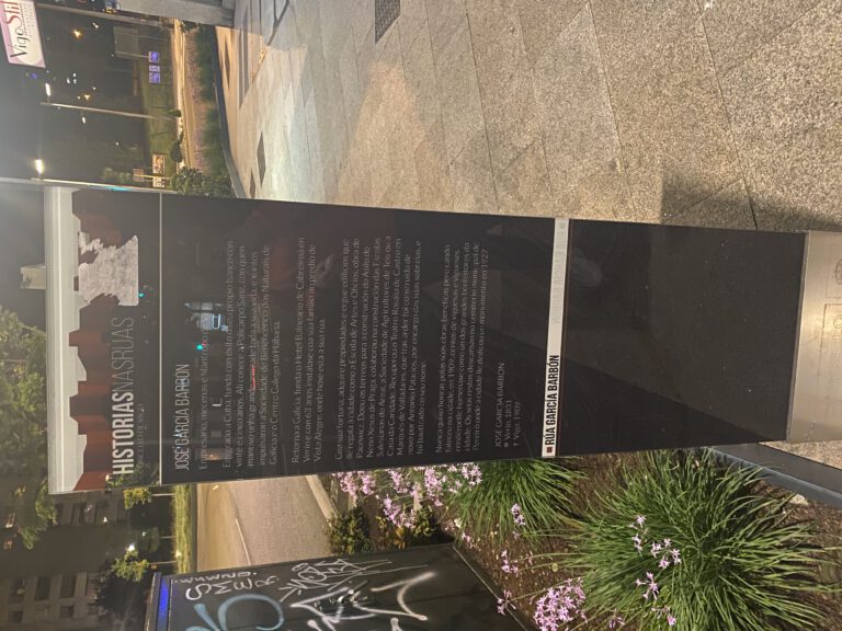 IMG 0707 2 1 768x576