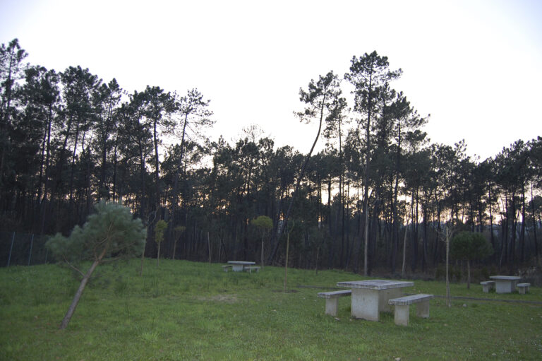 Castro de Torroso 11 768x511