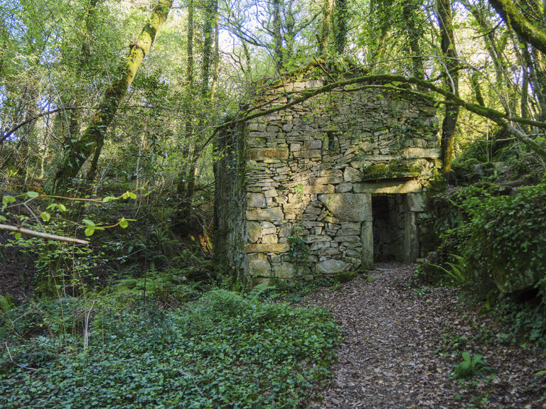 Fervenza da Feixa en Reboreda 2 768x576